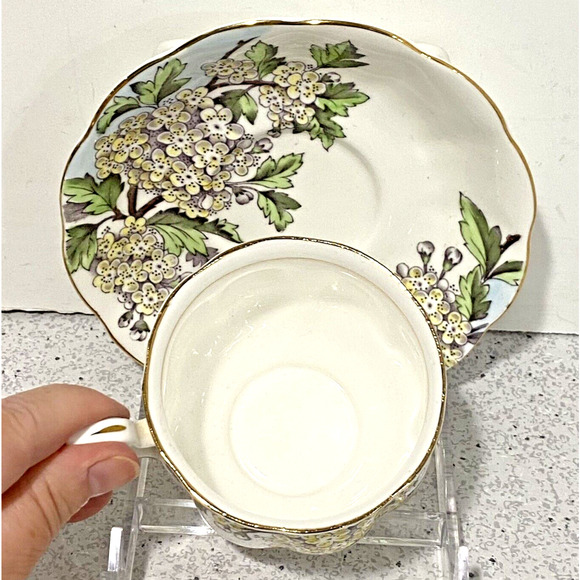 Royal Albert Teacup & Saucer Set England Flower of the Month Hawthorn Bone China - Picture 7 of 9
